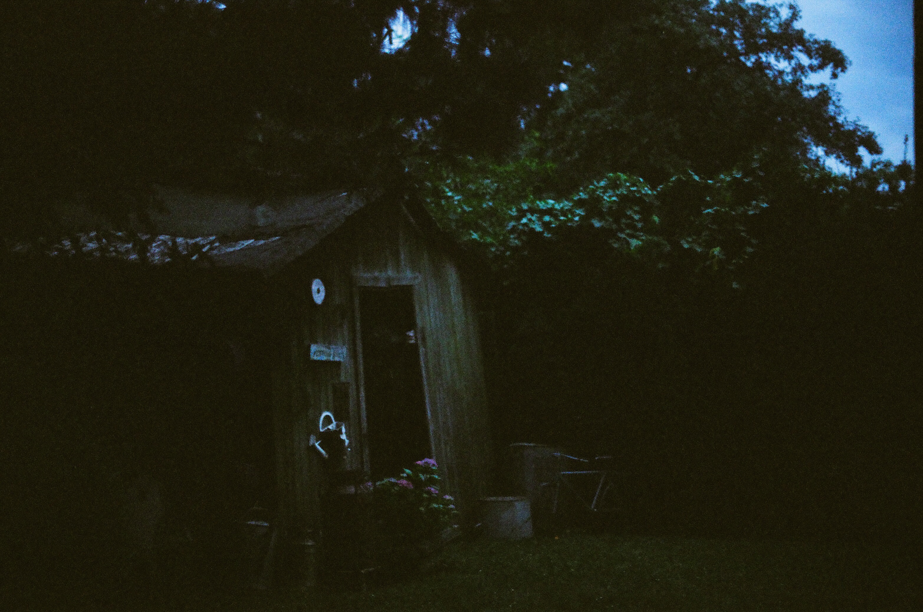 Image 21