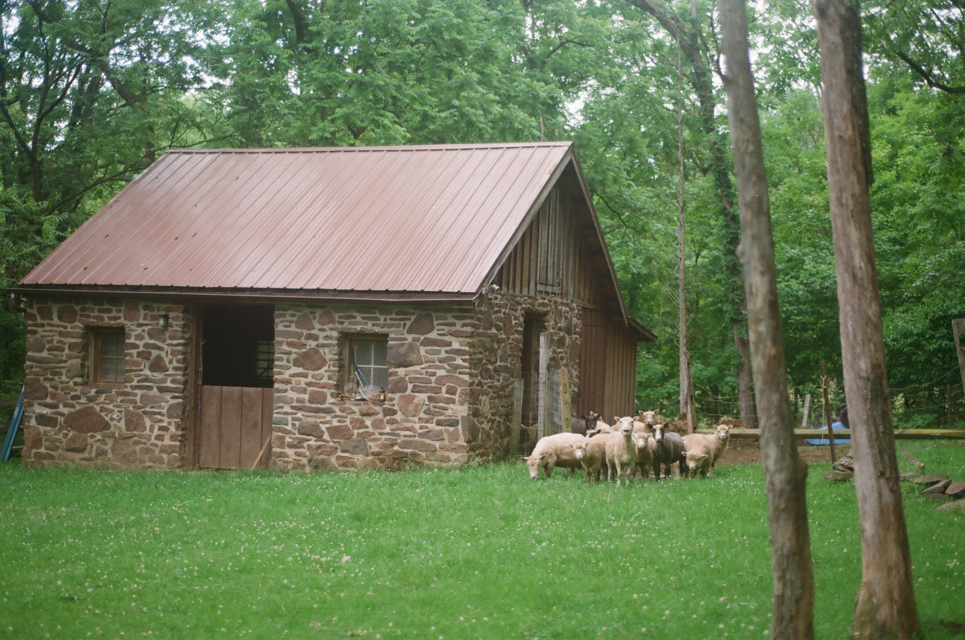 Image 29