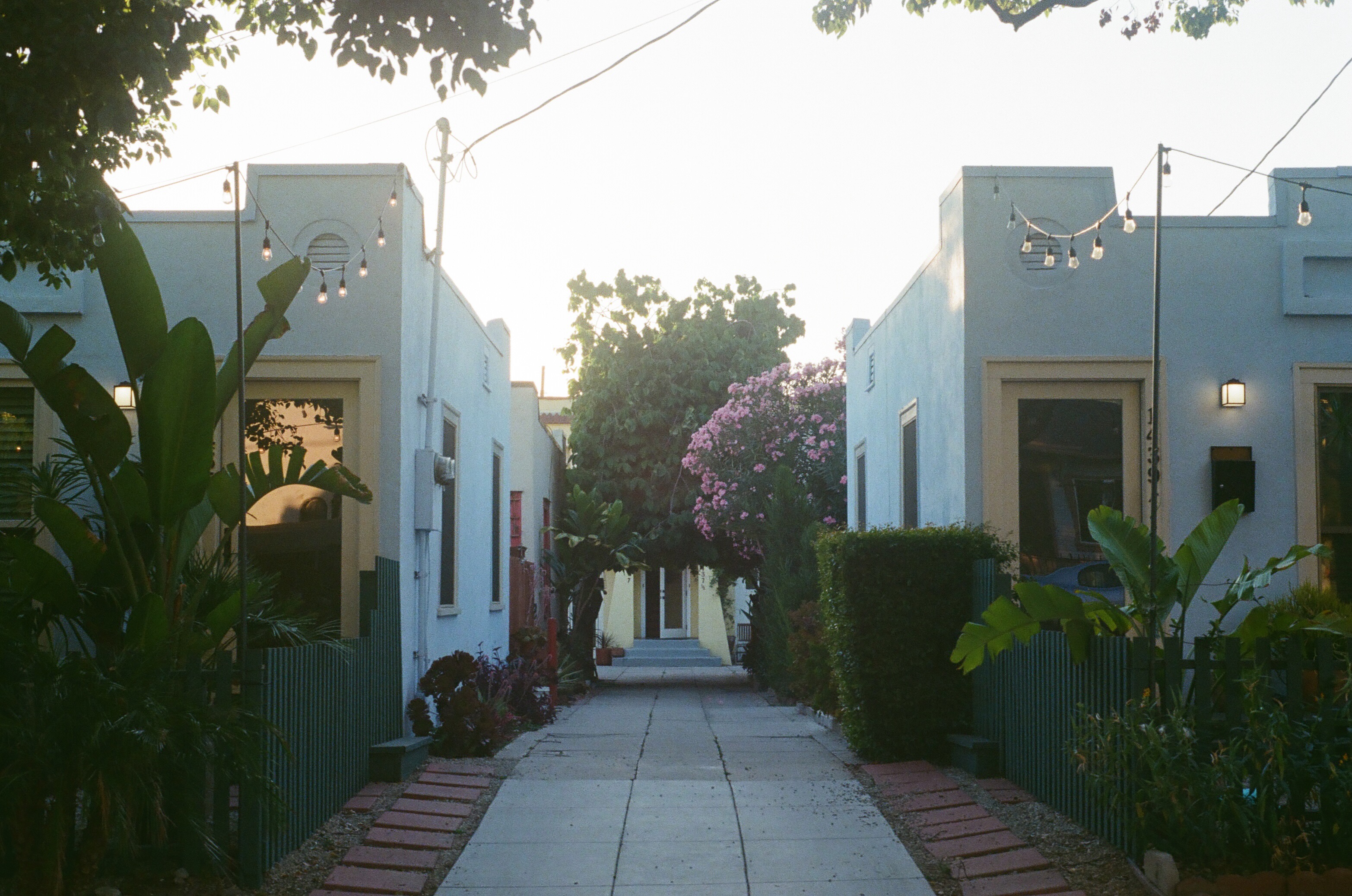 Image 59